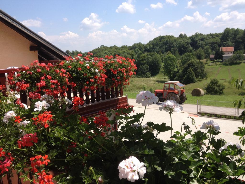 Guesthouse Ante Hodak Seliste Dreznicko Oda fotoğraf