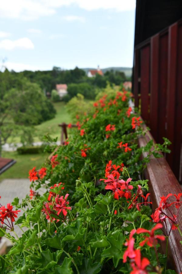 Guesthouse Ante Hodak Seliste Dreznicko Dış mekan fotoğraf