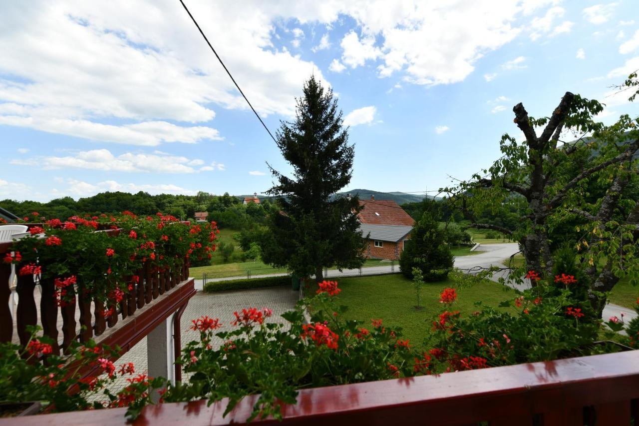 Guesthouse Ante Hodak Seliste Dreznicko Dış mekan fotoğraf