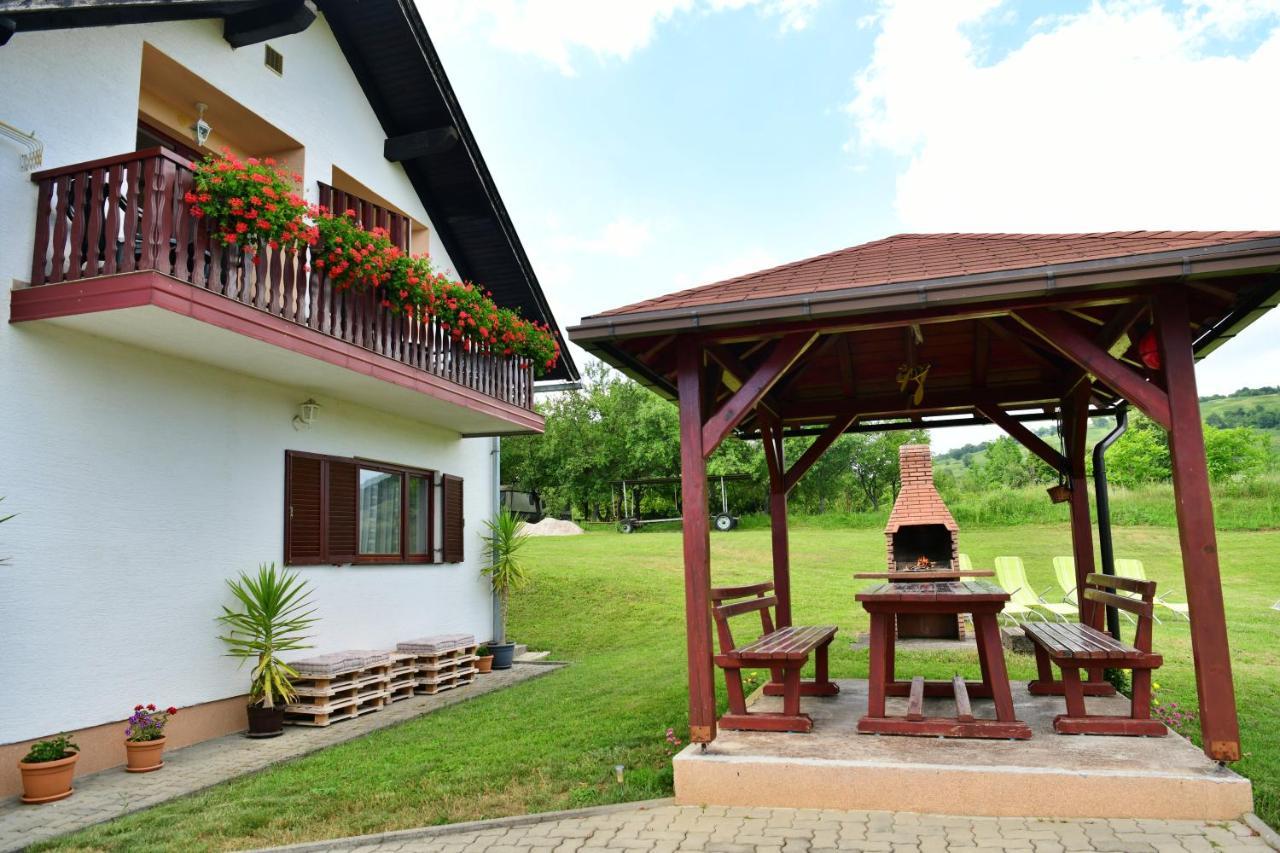 Guesthouse Ante Hodak Seliste Dreznicko Dış mekan fotoğraf