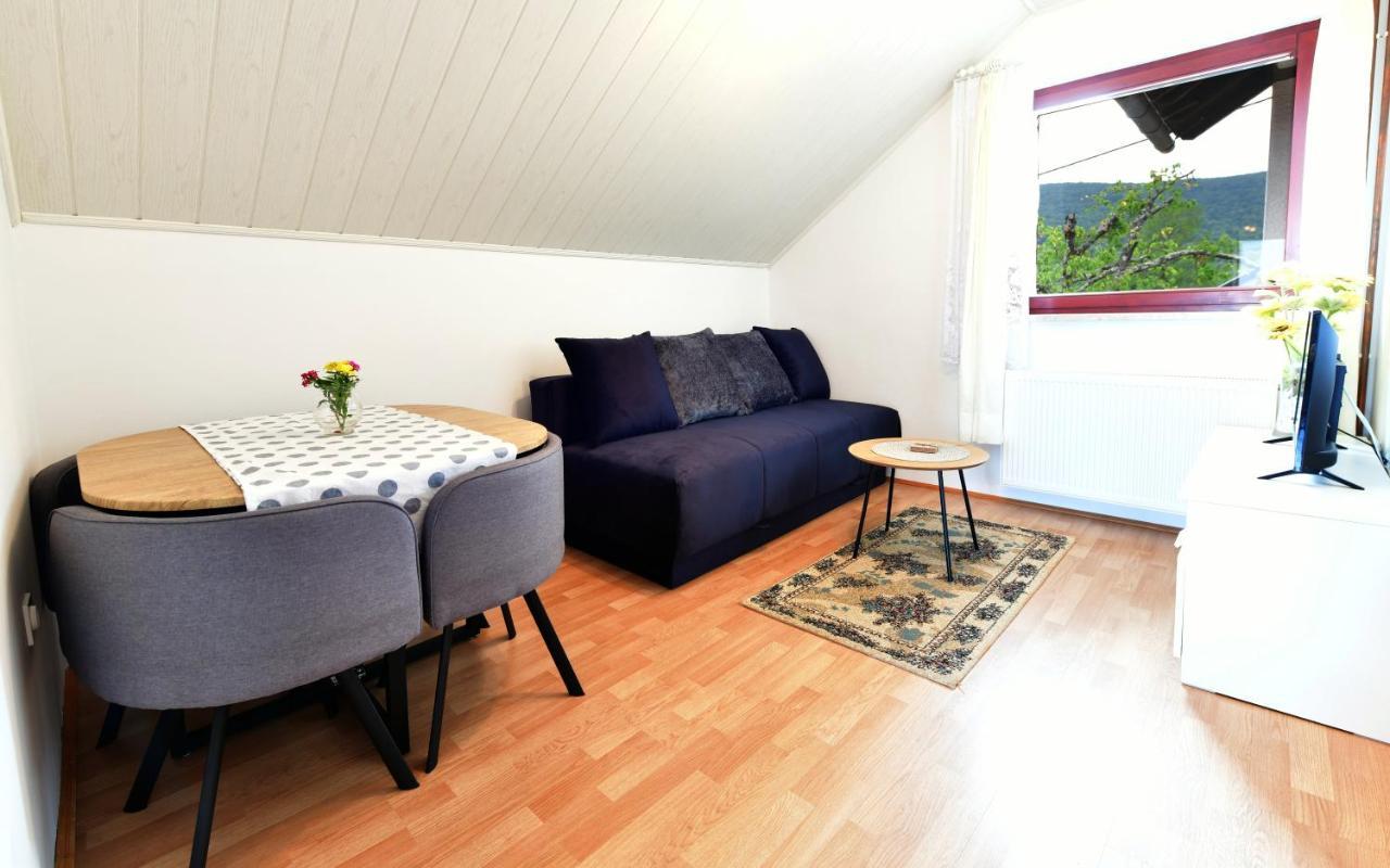 Guesthouse Ante Hodak Seliste Dreznicko Dış mekan fotoğraf