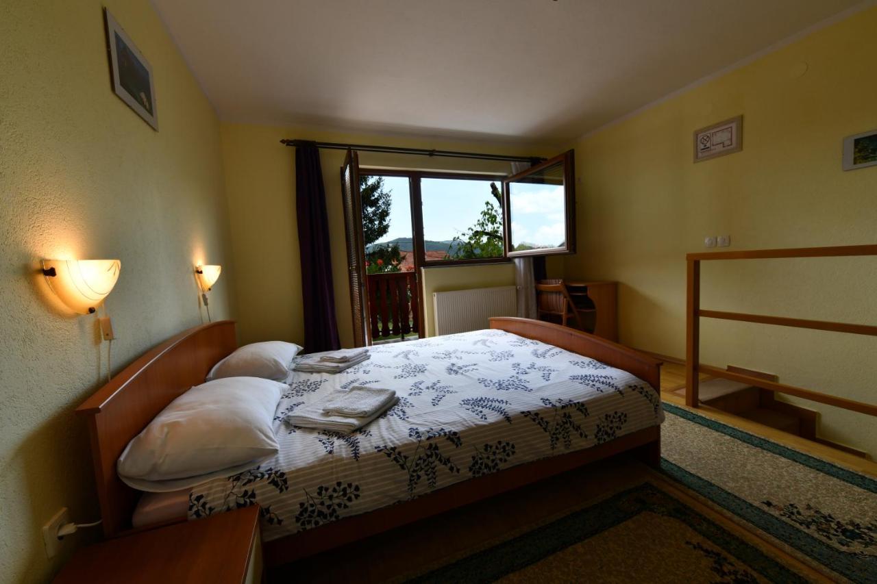 Guesthouse Ante Hodak Seliste Dreznicko Dış mekan fotoğraf