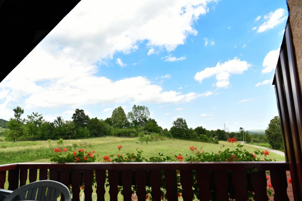 Guesthouse Ante Hodak Seliste Dreznicko Dış mekan fotoğraf