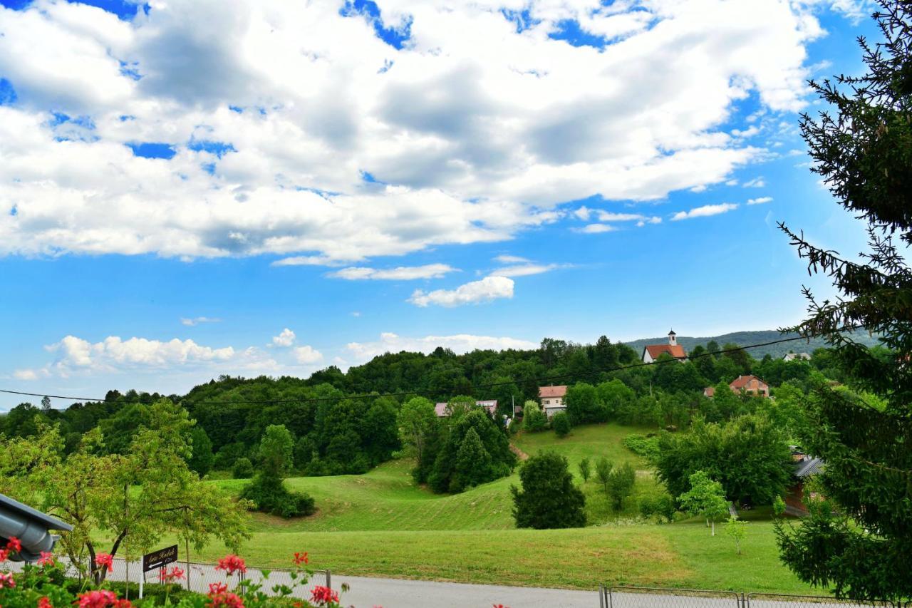 Guesthouse Ante Hodak Seliste Dreznicko Dış mekan fotoğraf